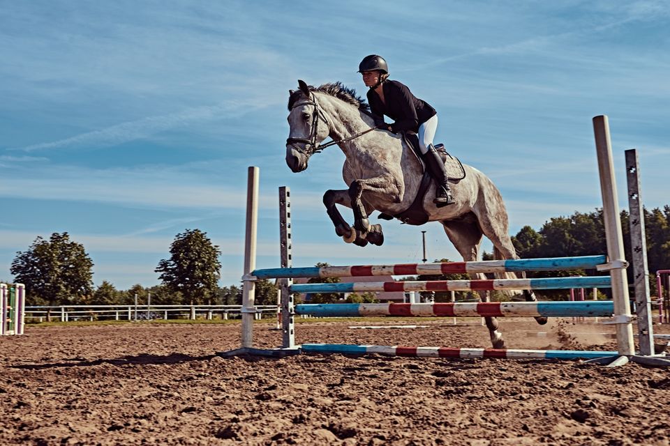 A rider on a grey horse clearing a show-jumping fence in an outdoor arena